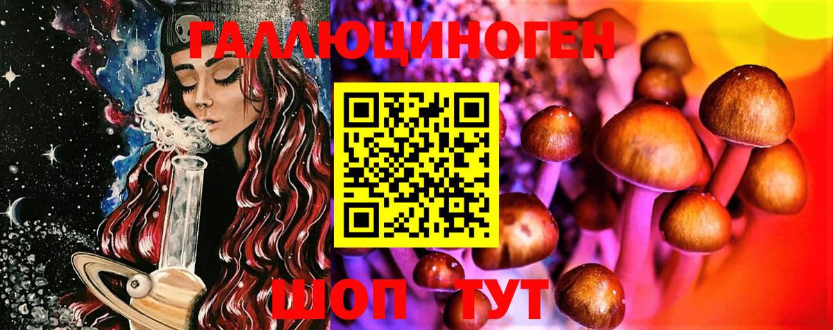 Галлюциногенные грибы Psilocybine cubensis  Вход с VPN  Нягань 